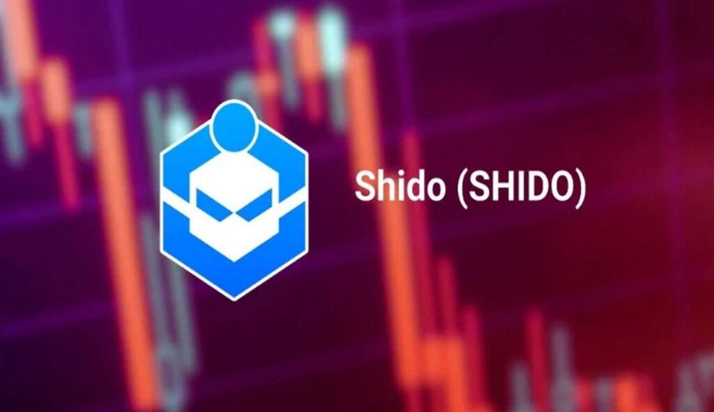 Shido Token Price Crash